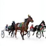 Teela Books Track Betting Kindle eBook English Guide-0