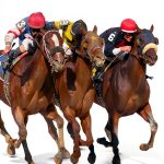 Kindle eBook Track Betting Horse Racing Guide English-0