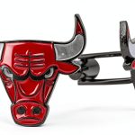 Desert Cactus Chicago Bulls Cufflinks NBA Team Logo National Basketball Association Formal Wear (Cufflinks)-0