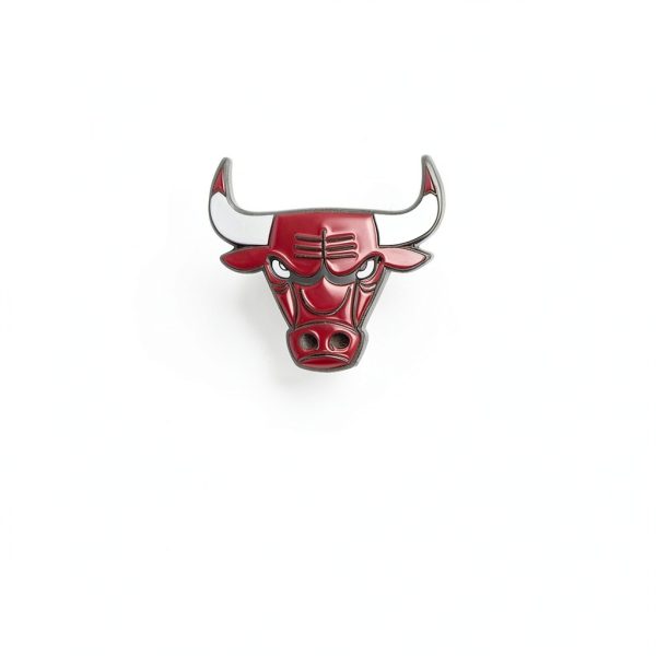 Desert Cactus Chicago Bulls Cufflinks NBA Team Logo National Basketball Association Formal Wear (Cufflinks)-1